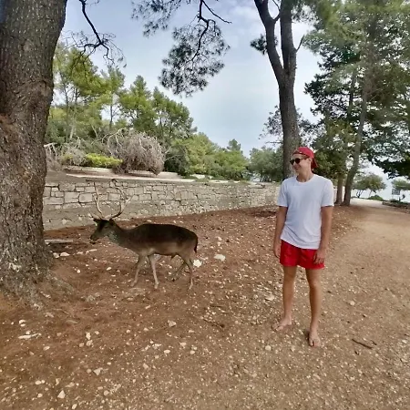 Hannah 公寓 奥瑞比克