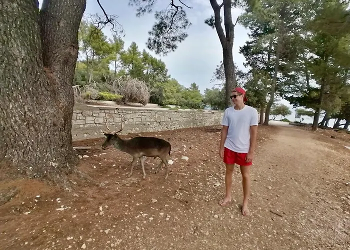 Hannah Appartement Orebić